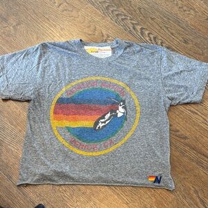Aviator Nation Gray Tee with Colorful Logo